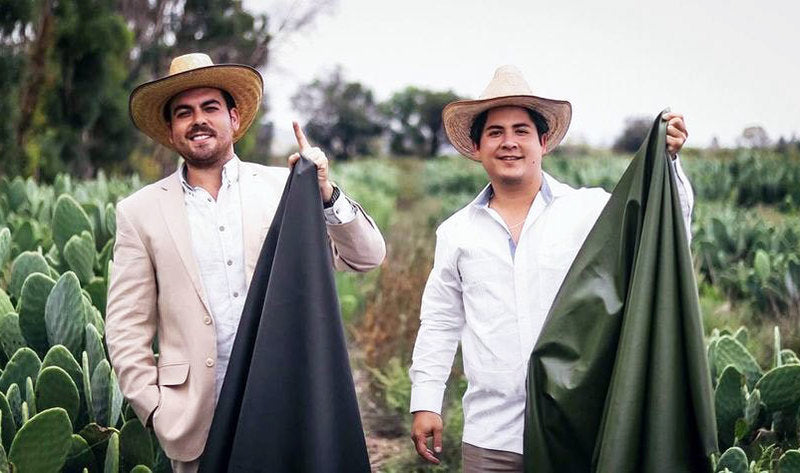 شابان من المكسيك يحولان  نبات الصبار إلى جلود صديقة للبيئة